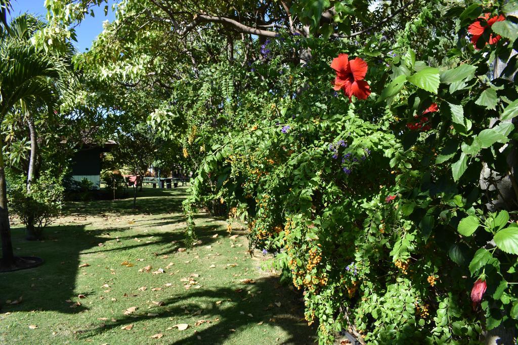 Nona Lani Cottages Kihei Exteriör bild