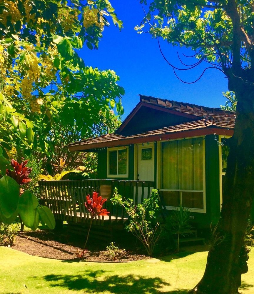 Nona Lani Cottages Kihei Exteriör bild