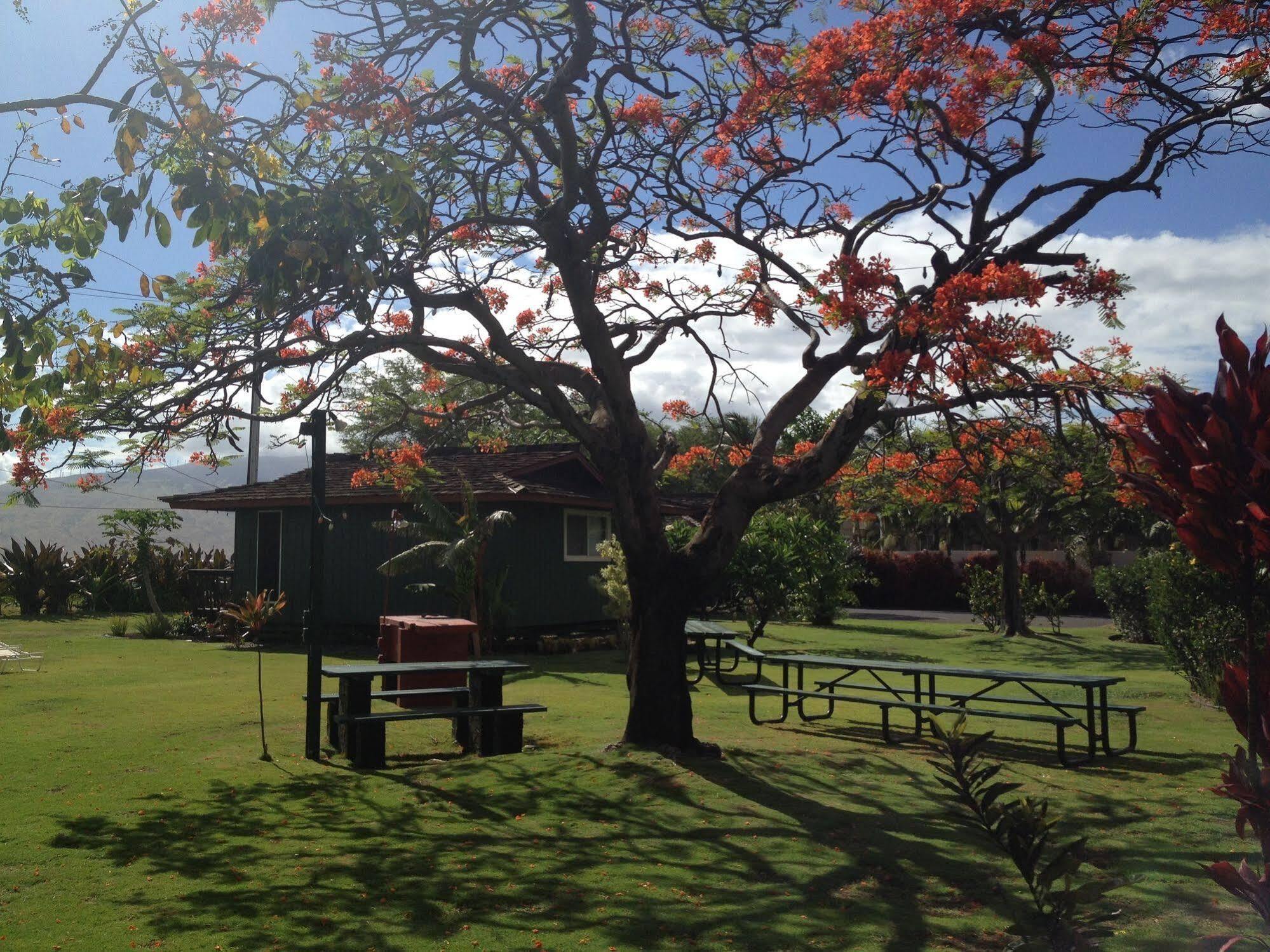 Nona Lani Cottages Kihei Exteriör bild